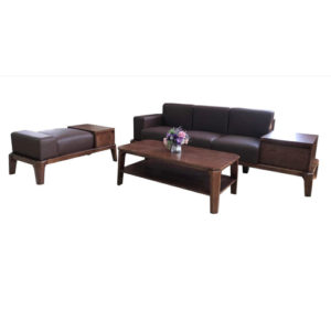 Sofa phòng khách SF509